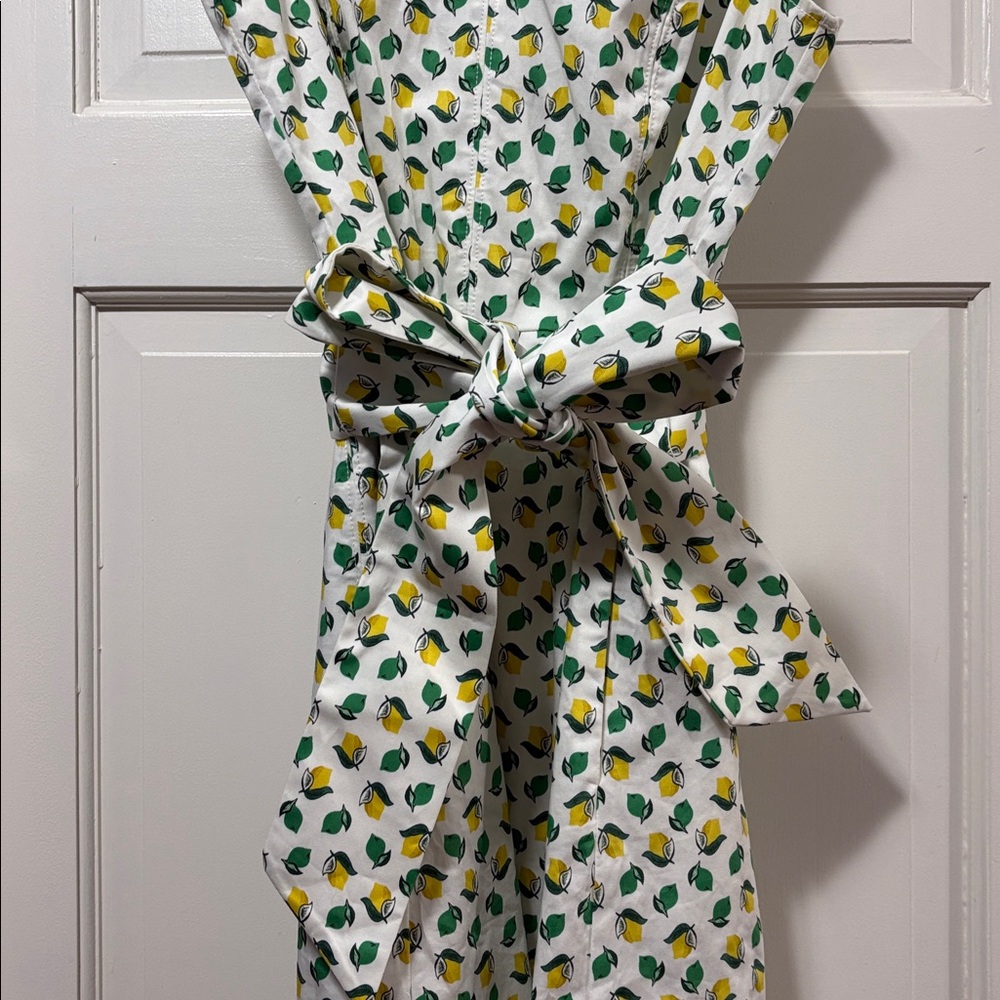 Boden Lemon Lime print Mischa dress - Picture 3 of 8